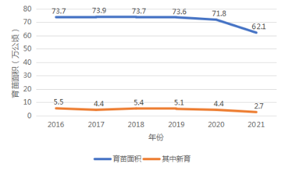 图片20