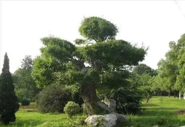 图片1.png 图片1.png