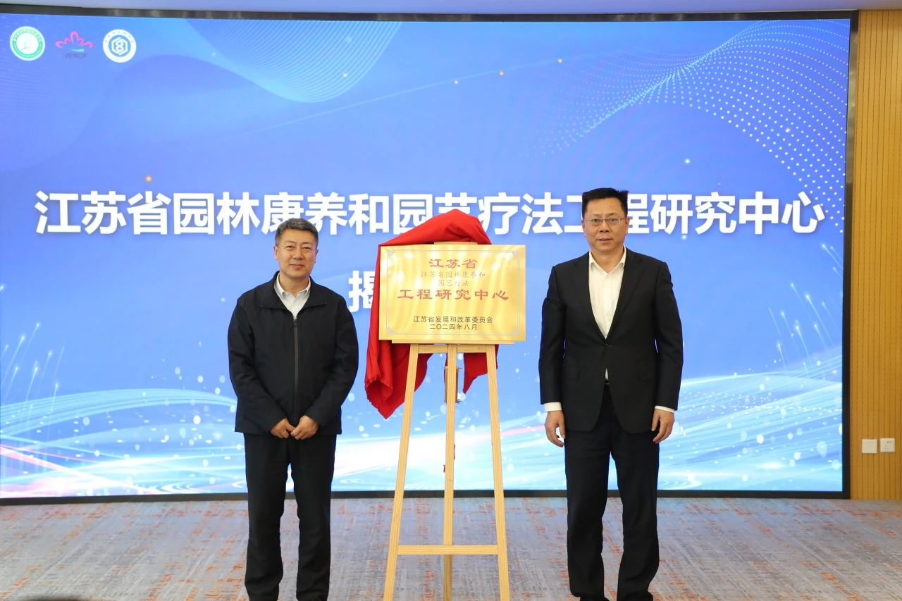 图片10