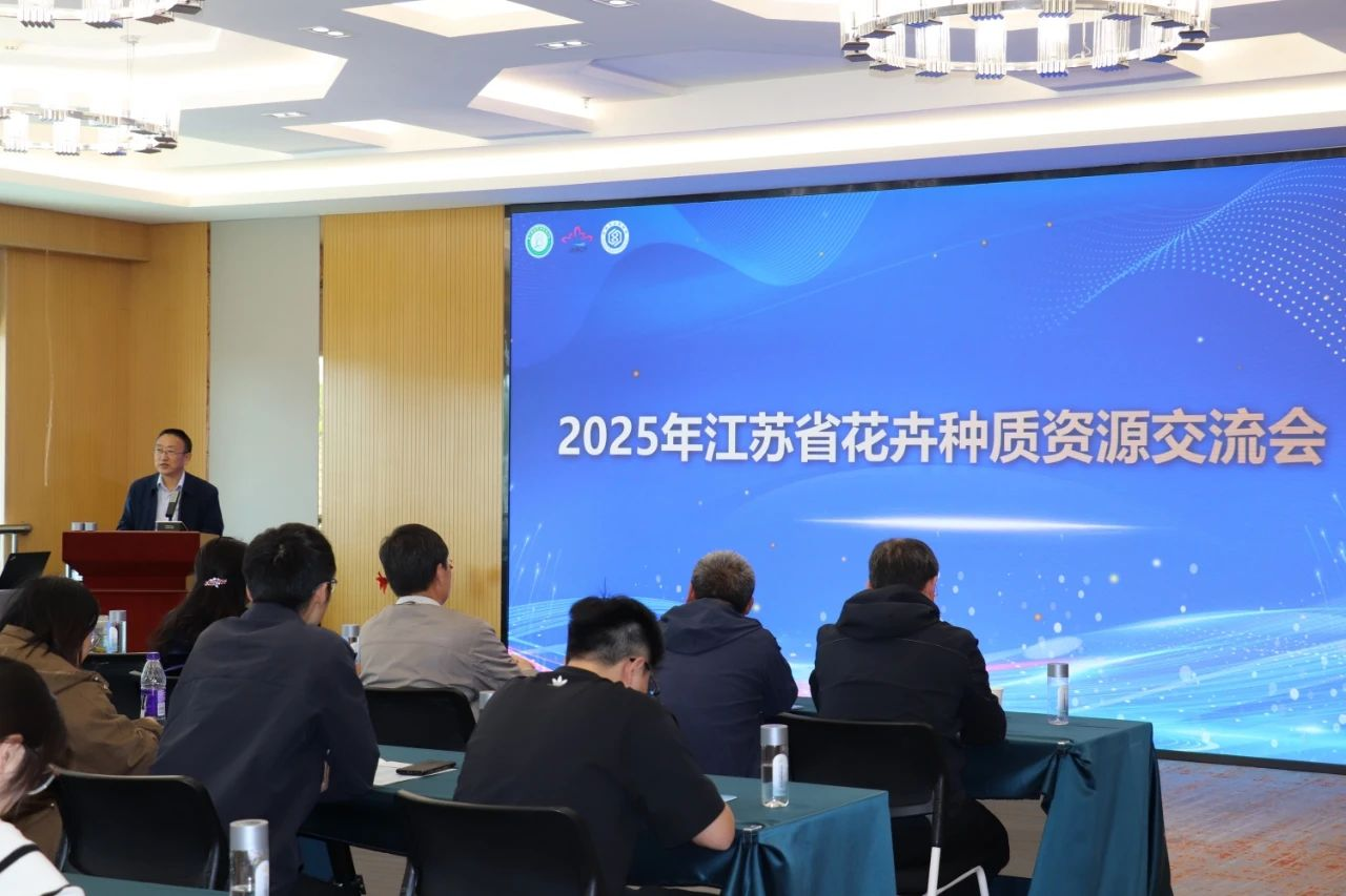 图片13